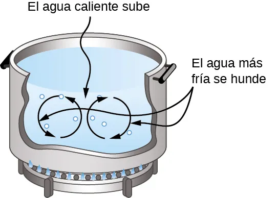 Convección natural en una olla
